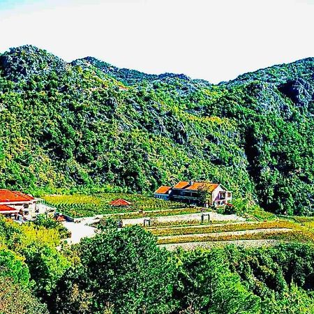 Eco Winery Lipovac Apartments Cetynia Zewnętrze zdjęcie